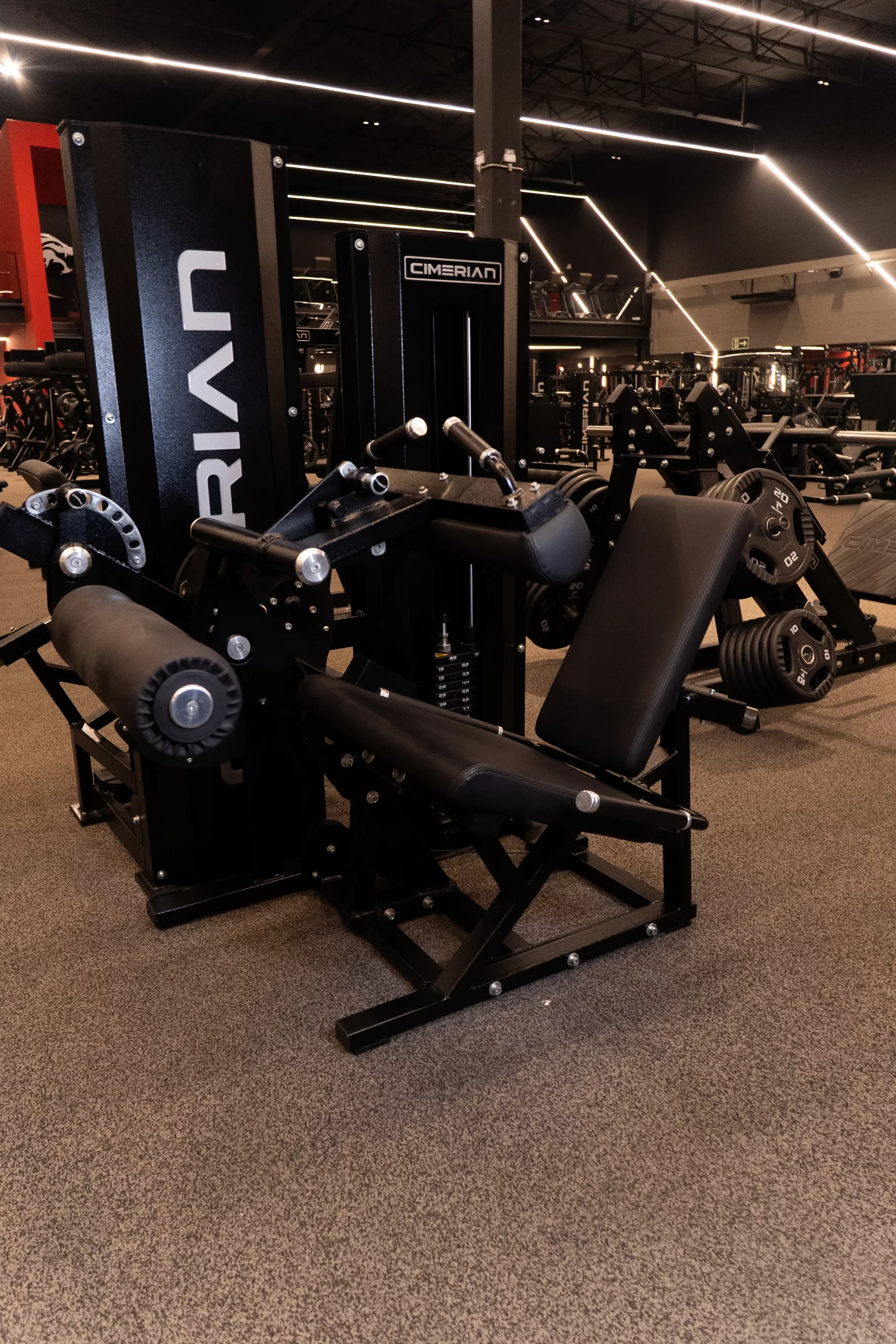 SELECTORIZED SEATED LEG CURL