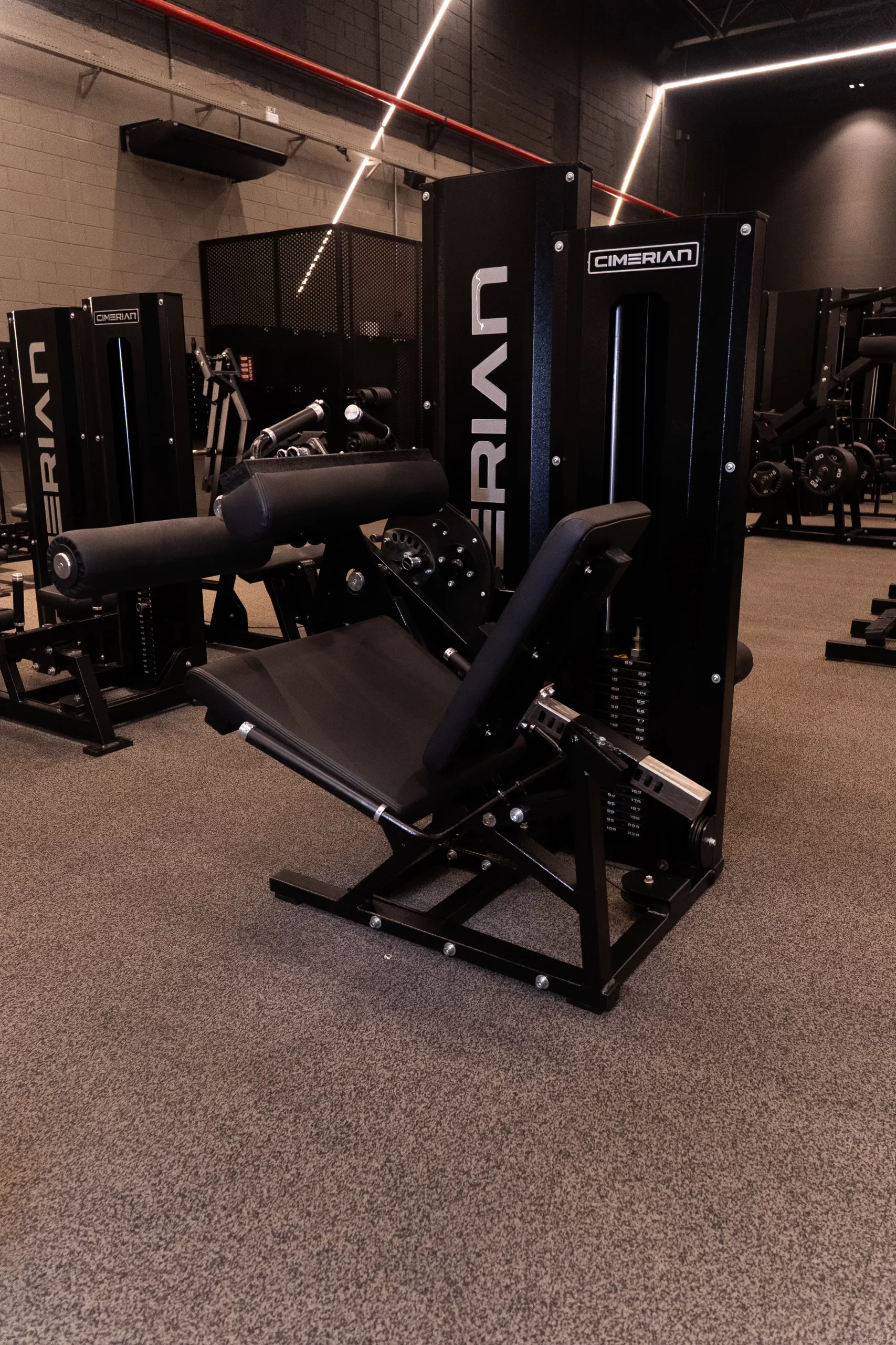SELECTORIZED SEATED LEG CURL