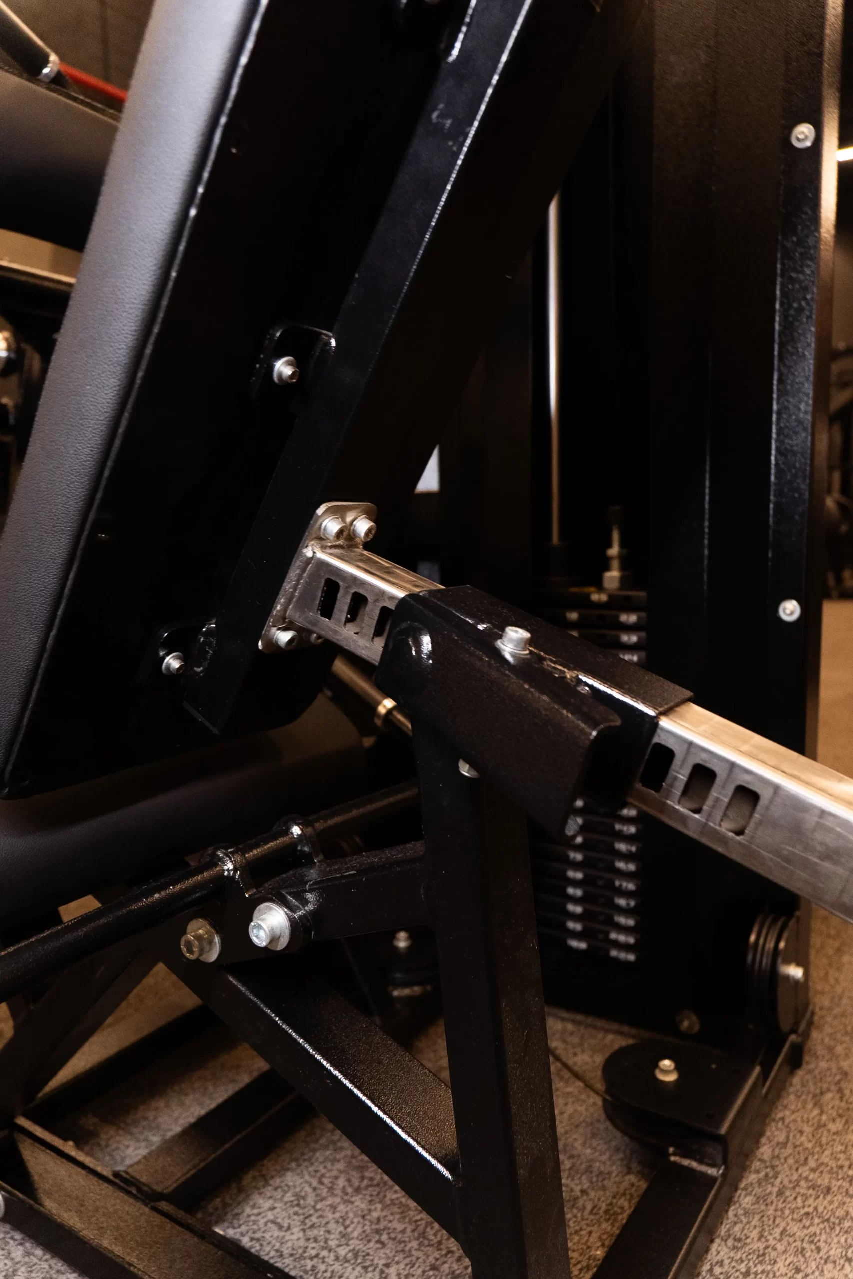 SELECTORIZED SEATED LEG CURL