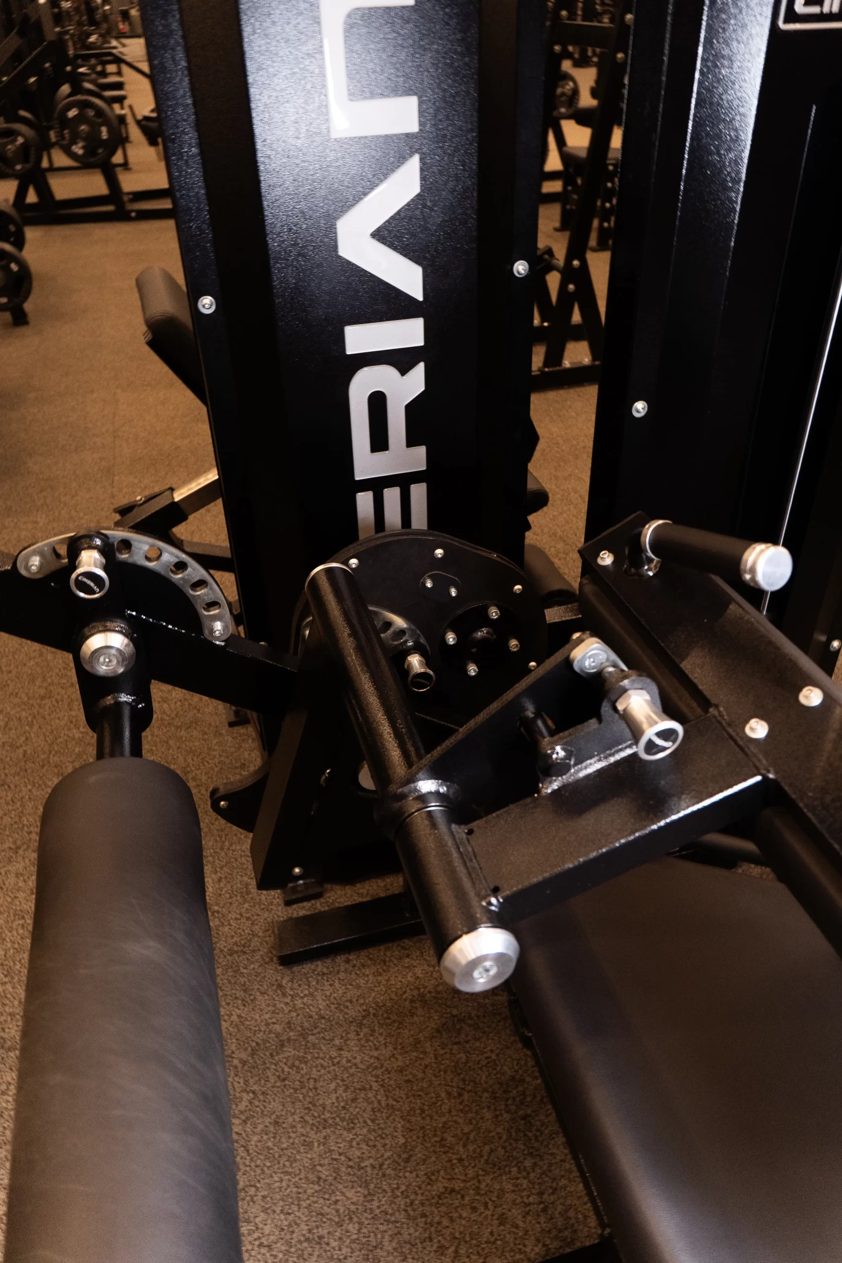 SELECTORIZED SEATED LEG CURL