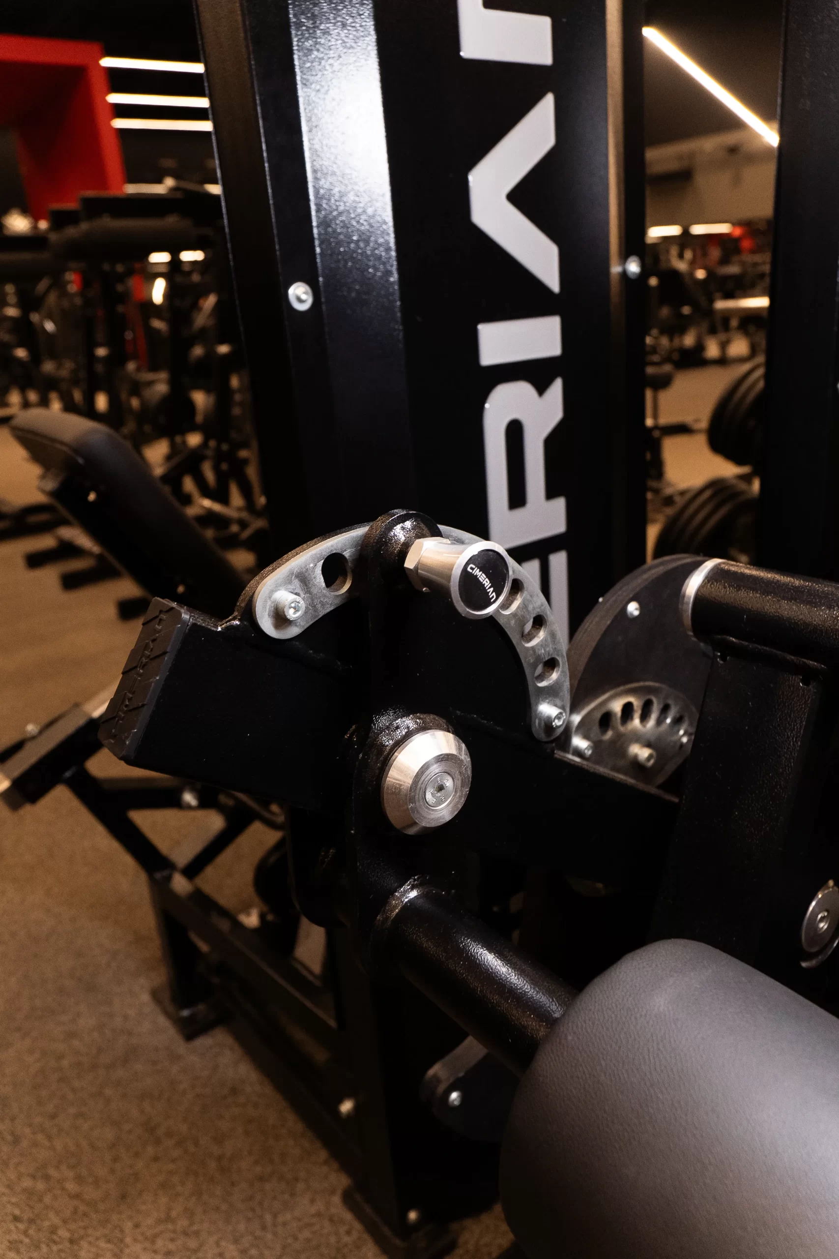 SELECTORIZED SEATED LEG CURL