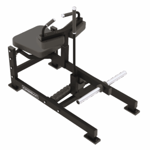 SEATED CALF RAISE