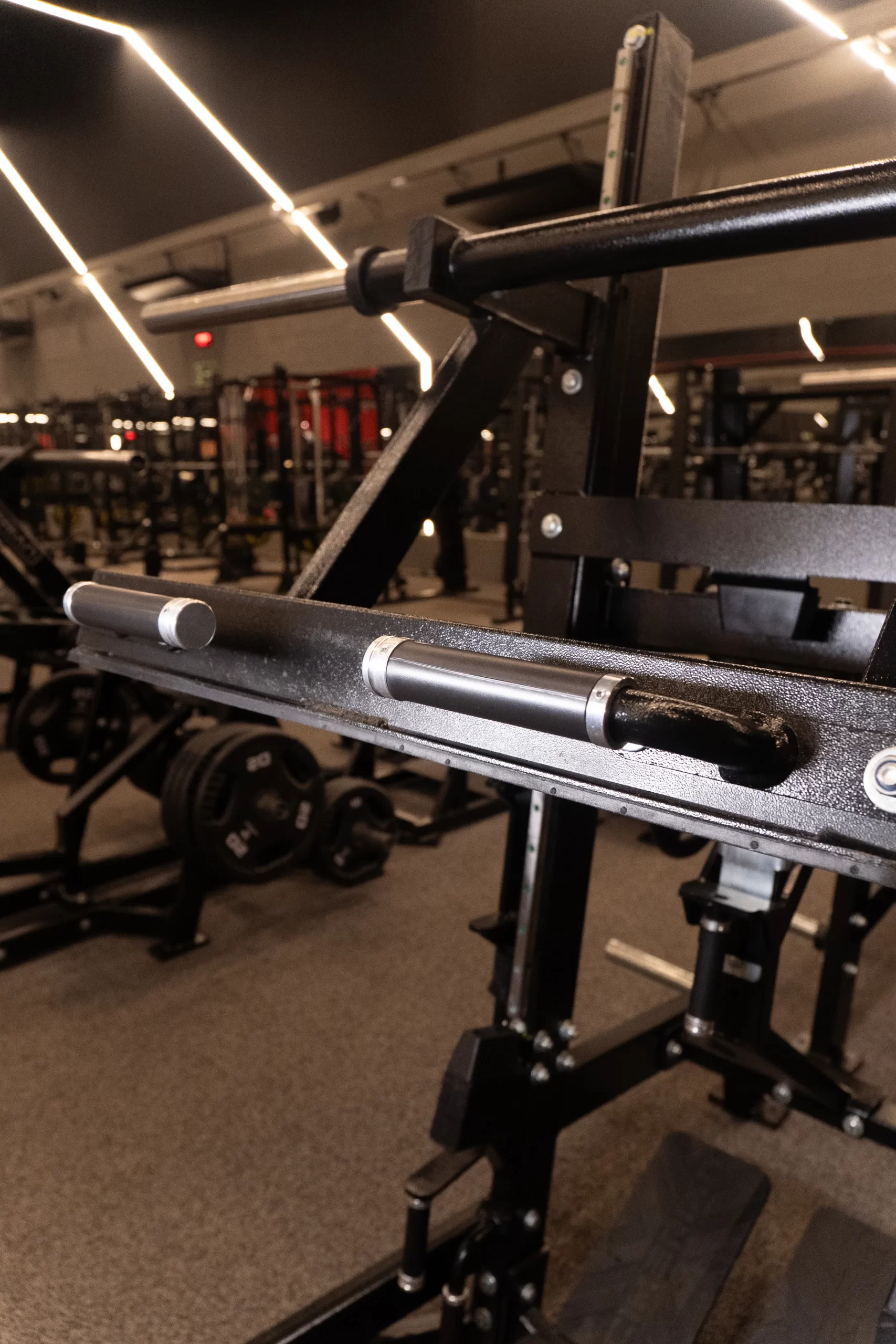 leg press 90